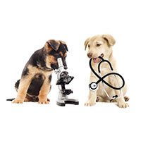 puppies-as-veterinarian-and-vet-tech-200x200
