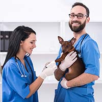 vet-tech-and-assistant-holding-dog-200x200