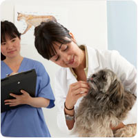 vet tech salary charlotte nc